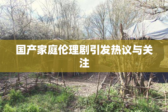 国产家庭伦理剧引发热议与关注