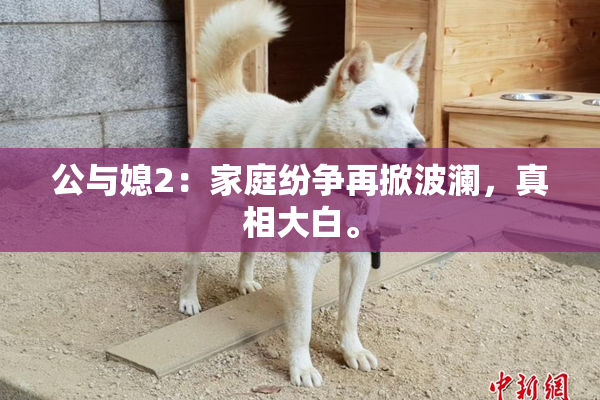 公与媳2：家庭纷争再掀波澜，真相大白。