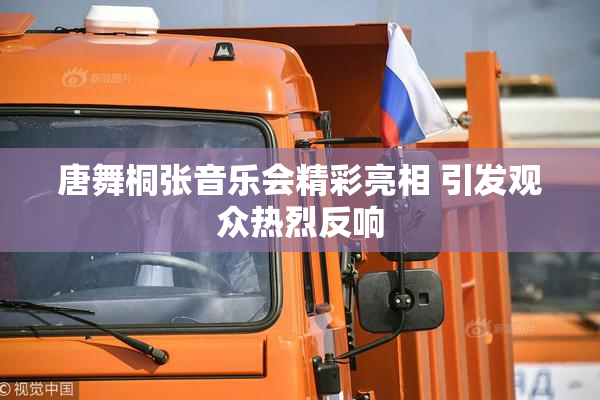 唐舞桐张音乐会精彩亮相 引发观众热烈反响