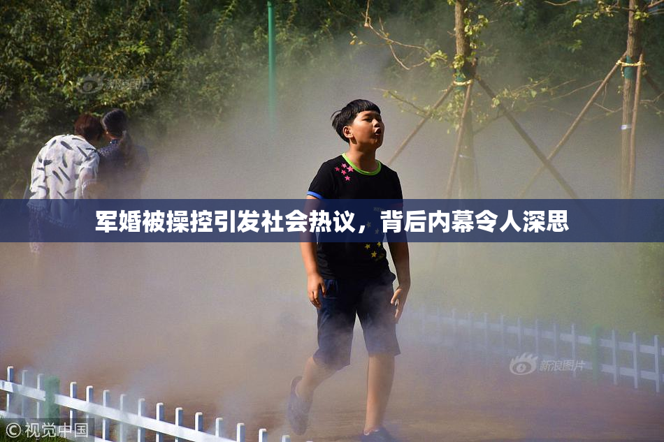 军婚被操控引发社会热议，背后内幕令人深思