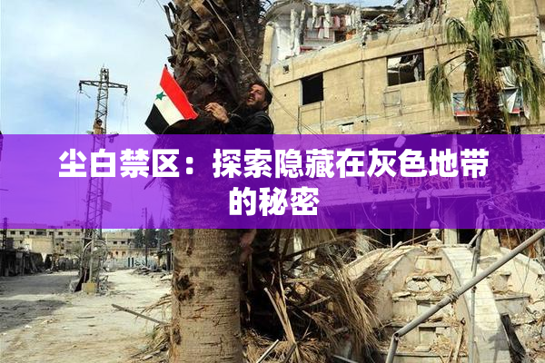 尘白禁区：探索隐藏在灰色地带的秘密