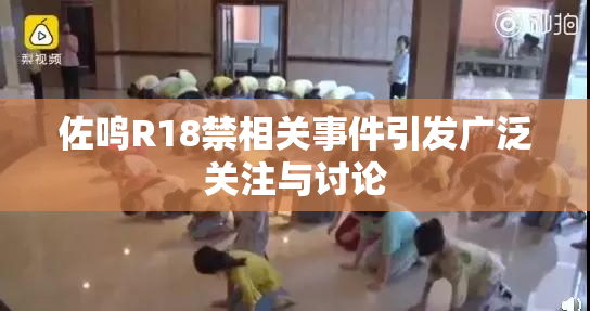 佐鸣R18禁相关事件引发广泛关注与讨论
