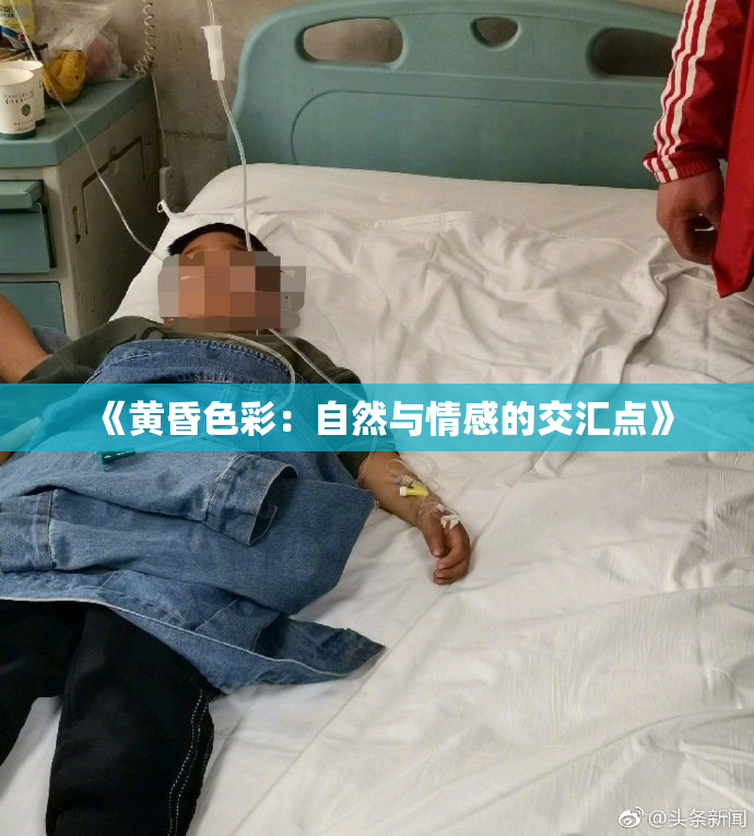 《黄昏色彩：自然与情感的交汇点》