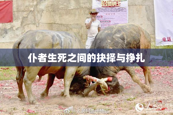 仆者生死之间的抉择与挣扎