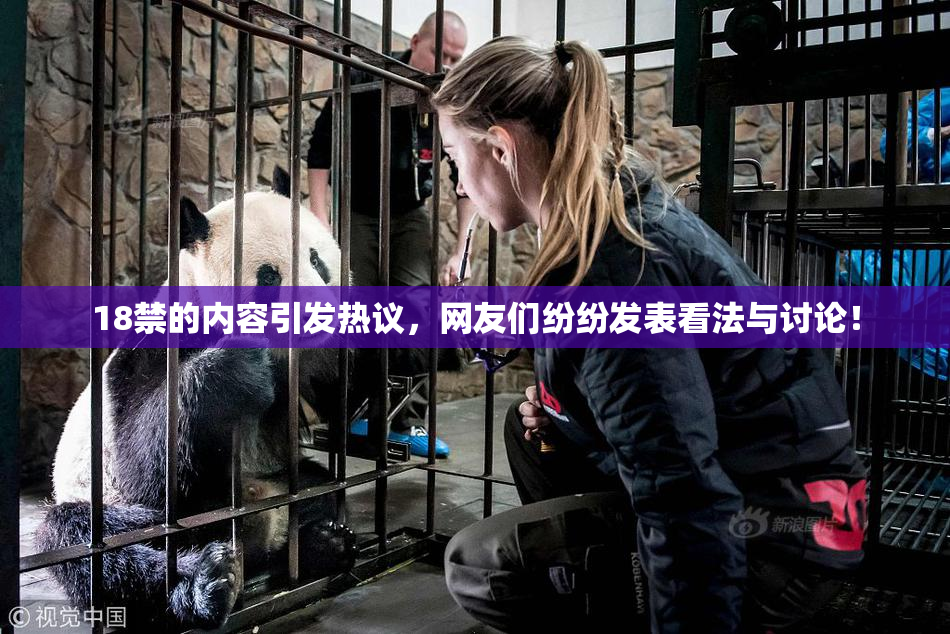 18禁的内容引发热议，网友们纷纷发表看法与讨论！
