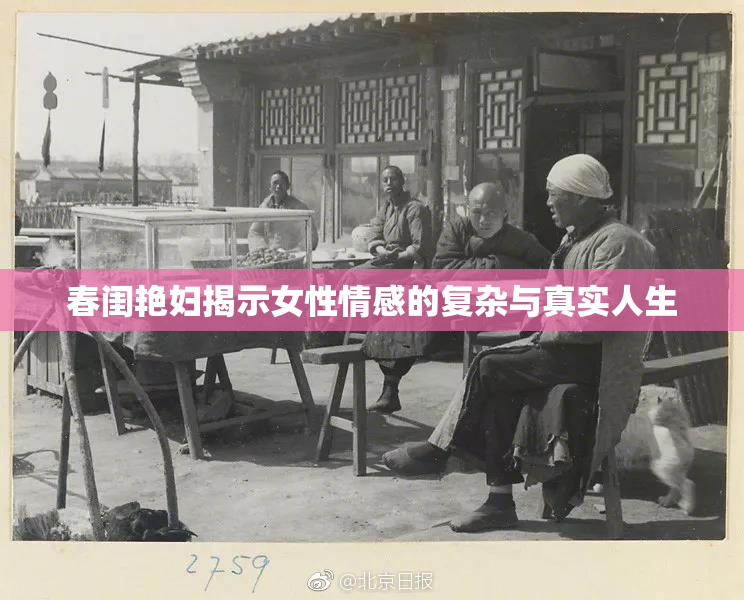 春闺艳妇揭示女性情感的复杂与真实人生