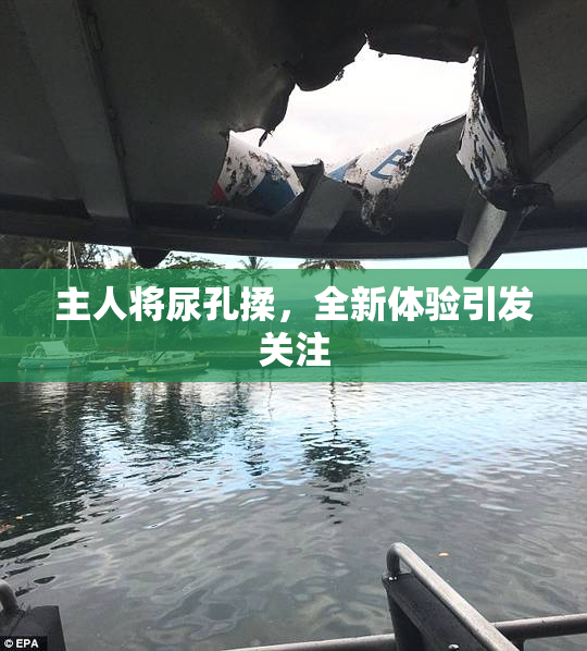 主人将尿孔揉，全新体验引发关注