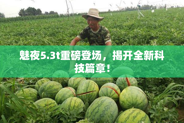 魅夜5.3t重磅登场，揭开全新科技篇章！