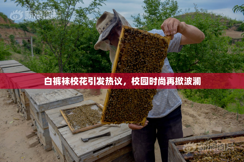 白裤袜校花引发热议，校园时尚再掀波澜