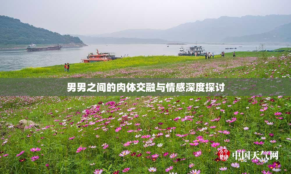 男男之间的肉体交融与情感深度探讨