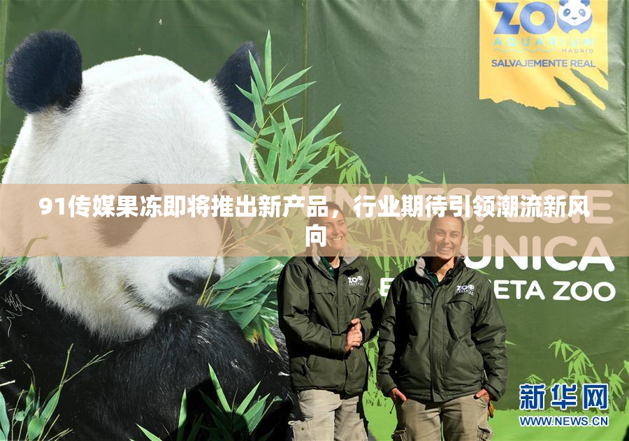 91传媒果冻即将推出新产品，行业期待引领潮流新风向