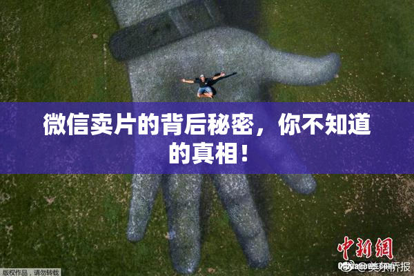 微信卖片的背后秘密，你不知道的真相！
