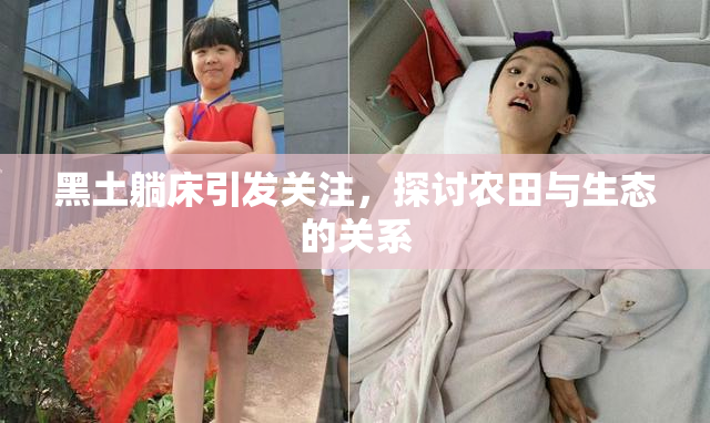黑土躺床引发关注，探讨农田与生态的关系