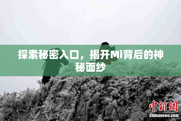 探索秘密入口，揭开Mi背后的神秘面纱