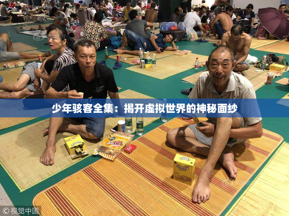 少年骇客全集：揭开虚拟世界的神秘面纱