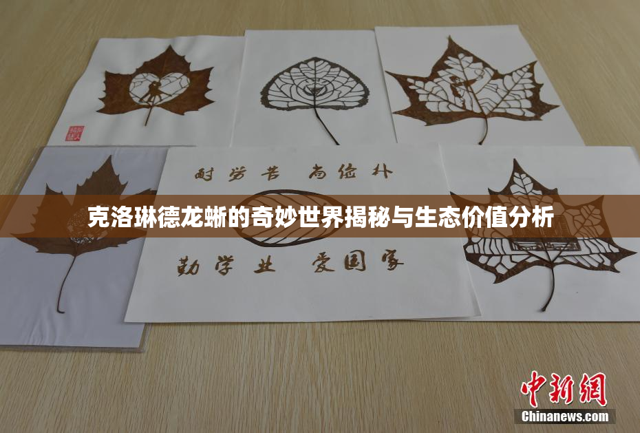 克洛琳德龙蜥的奇妙世界揭秘与生态价值分析