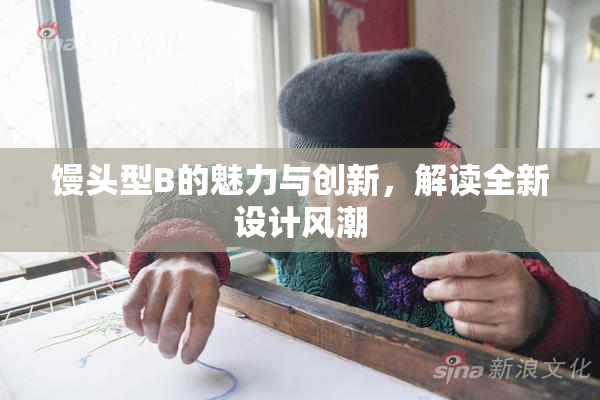 馒头型B的魅力与创新，解读全新设计风潮