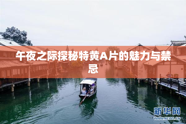 午夜之际探秘特黄A片的魅力与禁忌