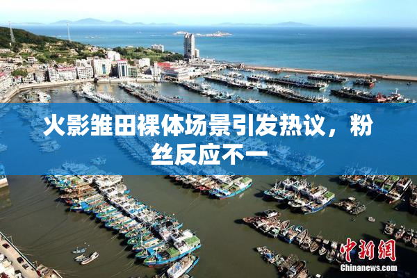 火影雏田裸体场景引发热议，粉丝反应不一