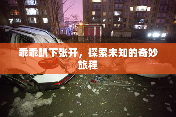 乖乖趴下张开，探索未知的奇妙旅程