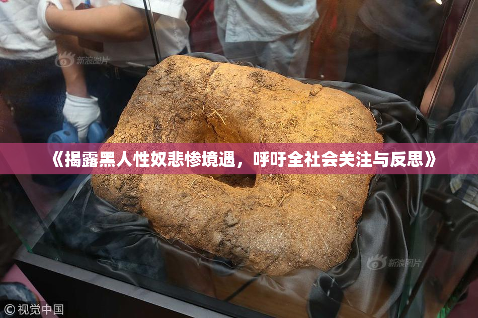 《揭露黑人性奴悲惨境遇，呼吁全社会关注与反思》