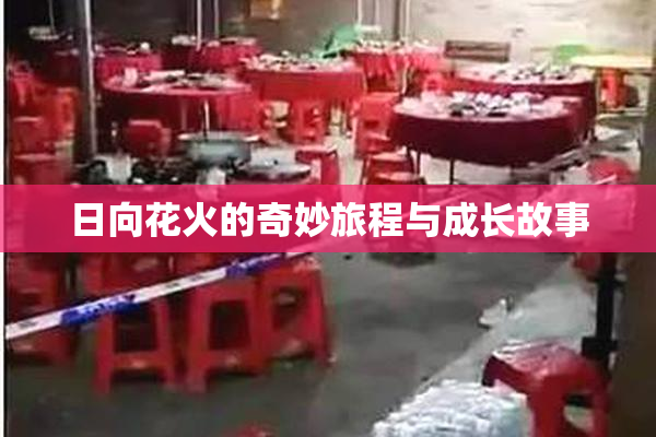 日向花火的奇妙旅程与成长故事