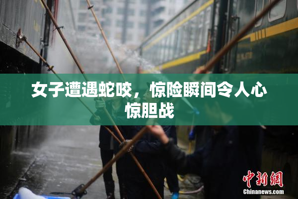 女子遭遇蛇咬，惊险瞬间令人心惊胆战
