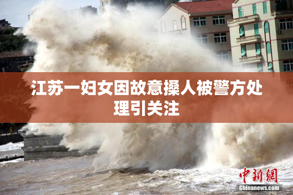 江苏一妇女因故意搡人被警方处理引关注