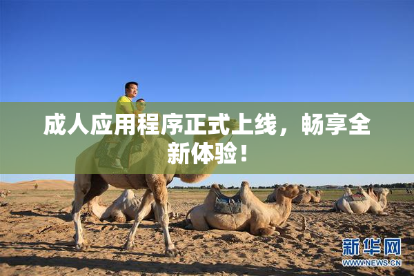成人应用程序正式上线，畅享全新体验！
