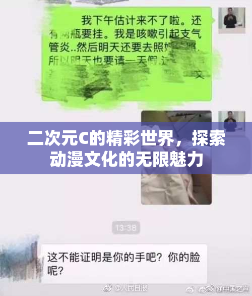 二次元C的精彩世界，探索动漫文化的无限魅力