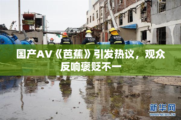 国产AV《芭蕉》引发热议，观众反响褒贬不一