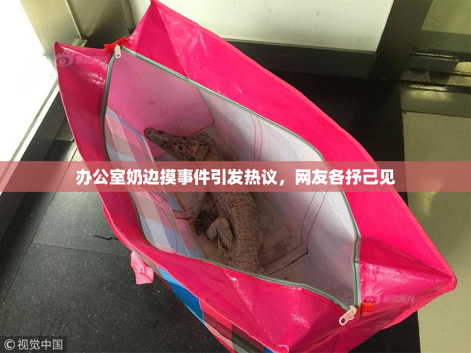 办公室奶边摸事件引发热议，网友各抒己见