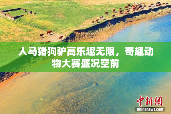 人马猪狗驴高乐趣无限，奇趣动物大赛盛况空前