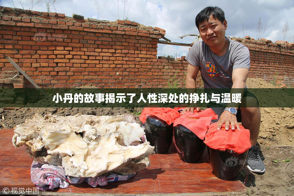 小丹的故事揭示了人性深处的挣扎与温暖
