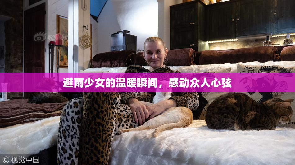 避雨少女的温暖瞬间，感动众人心弦