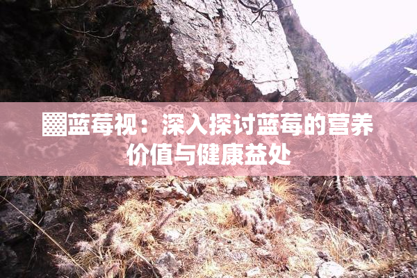 ▓蓝莓视：深入探讨蓝莓的营养价值与健康益处