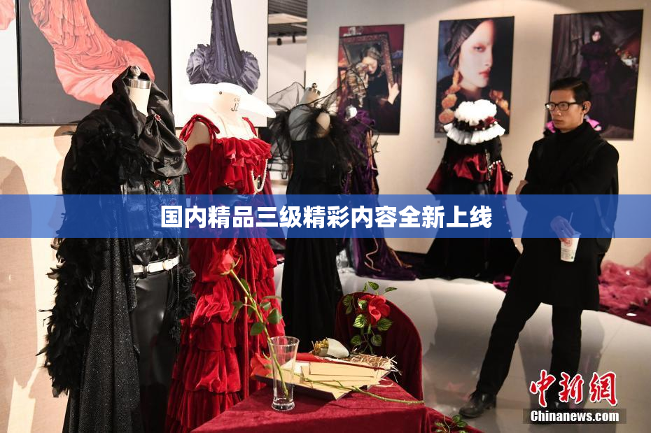 国内精品三级精彩内容全新上线