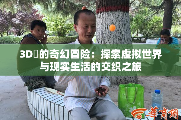 3D姉的奇幻冒险：探索虚拟世界与现实生活的交织之旅