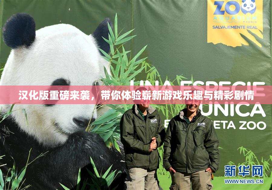 汉化版重磅来袭，带你体验崭新游戏乐趣与精彩剧情