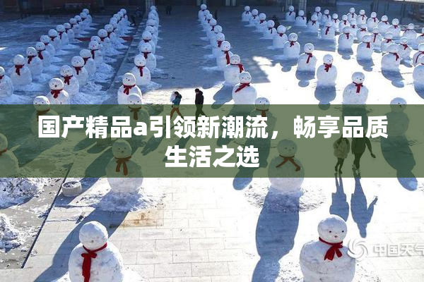 国产精品a引领新潮流，畅享品质生活之选
