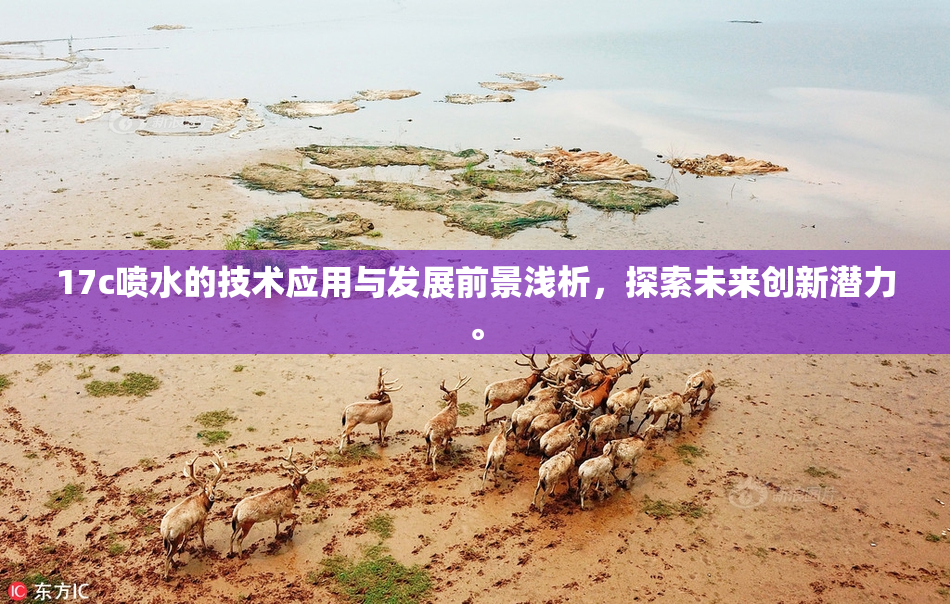 17c喷水的技术应用与发展前景浅析，探索未来创新潜力。