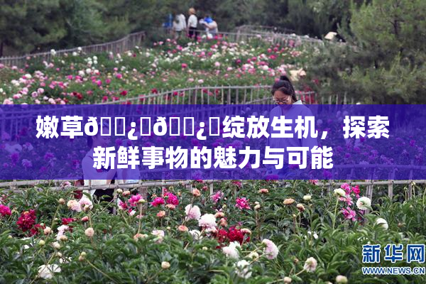 嫩草🌿‌🌿‌绽放生机，探索新鲜事物的魅力与可能