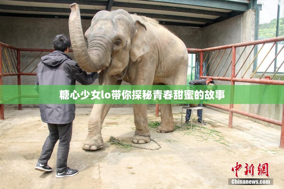 糖心少女lo带你探秘青春甜蜜的故事