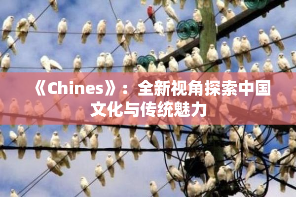 《Chines》：全新视角探索中国文化与传统魅力