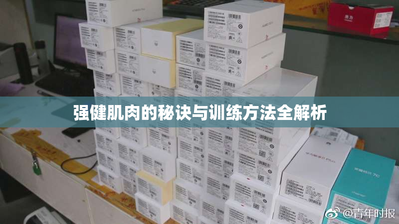 强健肌肉的秘诀与训练方法全解析