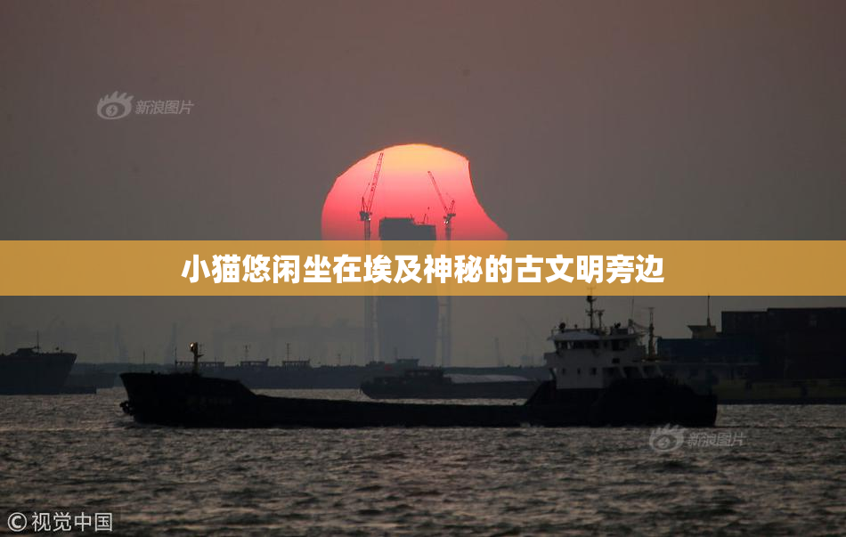小猫悠闲坐在埃及神秘的古文明旁边