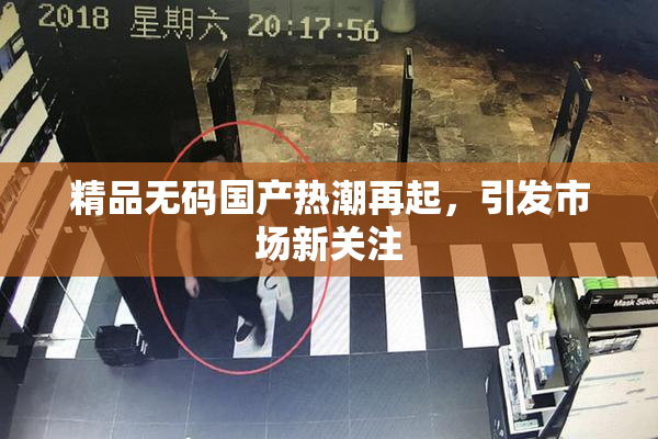精品无码国产热潮再起，引发市场新关注