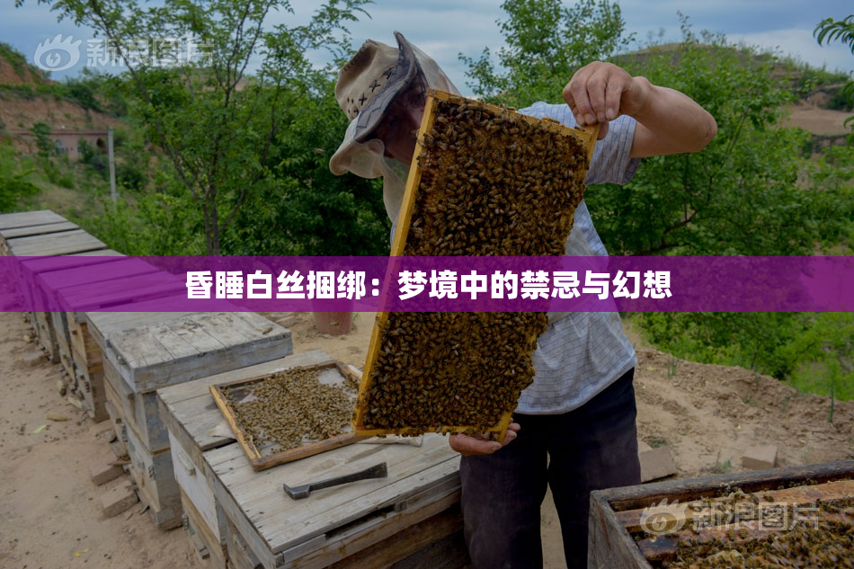 昏睡白丝捆绑：梦境中的禁忌与幻想