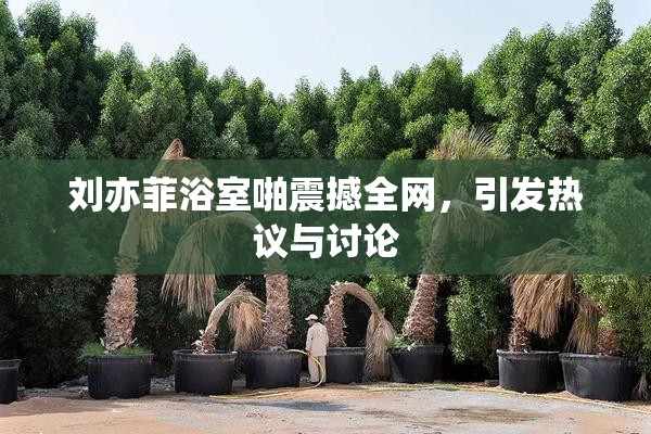 刘亦菲浴室啪震撼全网，引发热议与讨论
