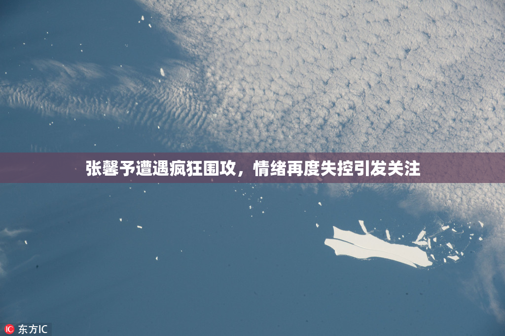 张馨予遭遇疯狂围攻，情绪再度失控引发关注